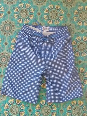 Beach Bros Blue Gingham Kids Swim Trunks